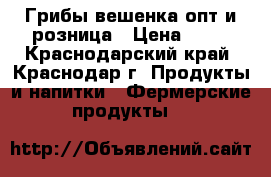 Грибы вешенка опт и розница › Цена ­ 12 - Краснодарский край, Краснодар г. Продукты и напитки » Фермерские продукты   